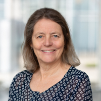 Professor Anne Holmen