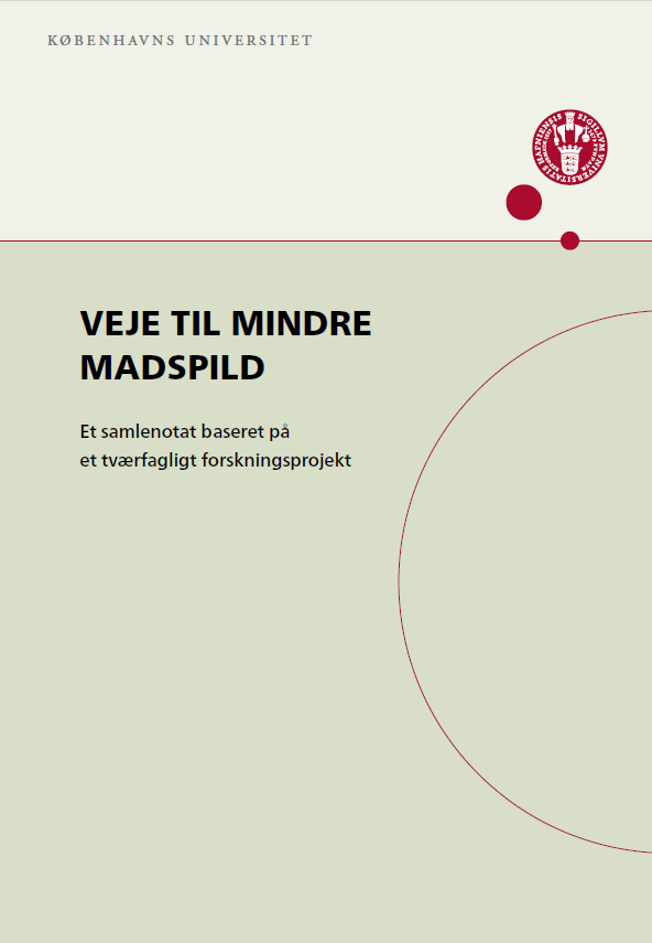 forside fra rapport